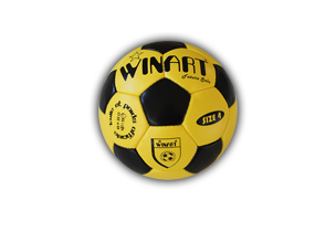 Futsal - Mérkőzéslabdák